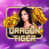 jl79 Dragon Tiger live casino game